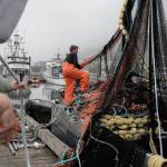 Deckhands stack nets on a boat before heading out to sea to fish salmon, Thursday, June 22, 2023, in Kodiak, Alaska. (AP Photo/Joshua A. Bickel)