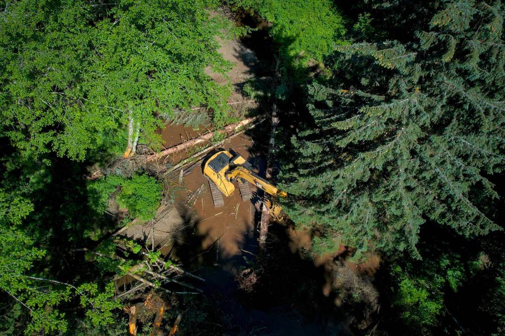 Heavy equipment contractor TM Construction works with the U.S. Forest Service on a stream restoration project in Skanaxhéen on Kuiu Island. Heavy equipment stream restoration is another example of how this regenerative work can create jobs and opportunities throughout the region. This work is done during an in-stream window when there will be the least impact to spawning salmon. (Photo by Lee House)