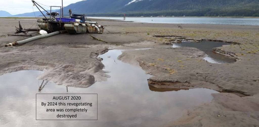 A photo taken on the Sheep Creek Delta in August of 2020 shows deep holes from dredging which the Thane Neighborhood Association says destroyed the revegetation by 2024. (Photo courtesy of Chris Prussing)