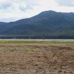 The revegetating area is seen on the Sheep Creek delta. The Thane Neighborhood Association is reporting damage to the revegetation caused by dredging. (Jasz Garrett / Juneau Empire)