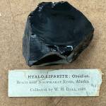 A piece of obsidian rock sits on display in the Smithsonian Institution in Washington, D.C. William Healey Dall collected the rock in 1868 near the Nowitna River in Interior Alaska. (Photo by Jeff Rasic)