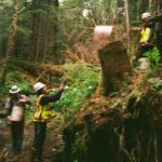 Prince of Wales Alaska Youth Stewards crew passes buckets of sediment from the forest to the bank at a salmon stream restoration project near Klawock. (Photo by Addy Mallott)