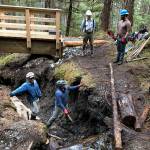 The Volunteer Trail Maintenance Team works to clear stream blockages and redirect flow away from a new 45-foot-long bridge on the Treadwell Ditch Trail. Pictured left to right: Jeff Sloss, Jim Powell, Chuck Orsborn and Ryan O’Shaughnessy. (Photo by Dave Haas)