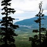 Hoonah seen from a mountainside. (Photo by Lee House)