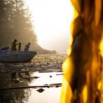 Barnacle Foods harvests wild bull kelp in Southeast Alaska in 2020. (Photo by Bethany Goodrich)