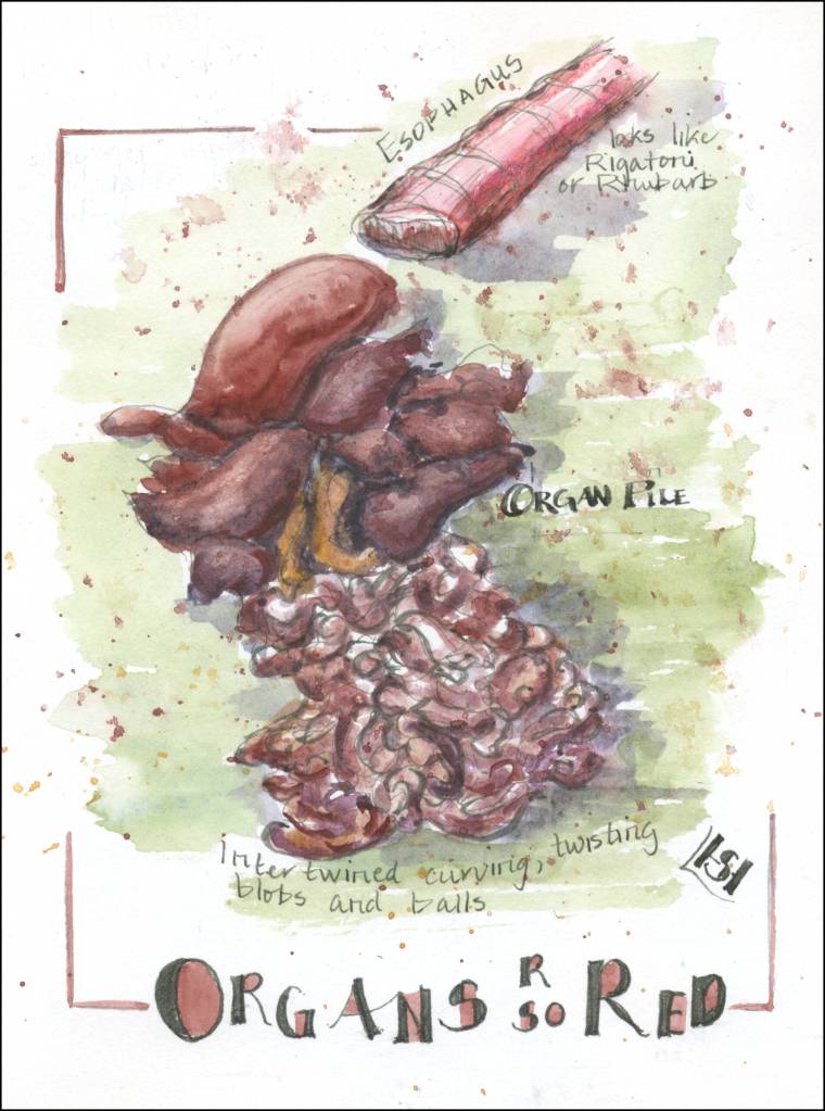(Illustration by Stephanie Harold)
