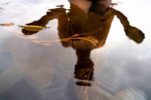 A reflection of a cold-water dip in Sitka Sound. (Photo by Bethany Goodrich)