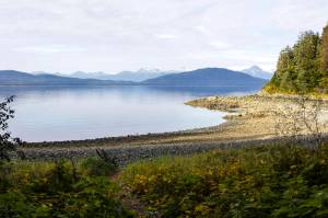 Jensen-Olson Arboretum is seen in this undated photo. (Michael S. Lockett / Juneau Empire File)
