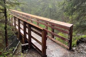 The Treadwell Ditch Bridge (Photo courtesy of Trail Mix, Inc.)