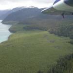 The swath from a giant 1958 wave in Lituya Bay is still evident in the vegetation within the bay. (Photo by Ned Rozell)