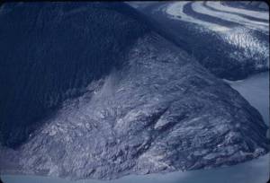 Photo by Don Miller
Don Miller took this photograph of a Lituya Bay hillside shortly after the giant wave in 1958.