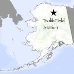 Provided by Alaska Science Forum