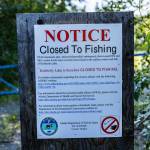 A lake in the interior closed for fishing because of PFAS contamination.