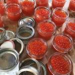 Dog salmon eggs in jars (Vivian Faith Prescott | Capital City Weekly)