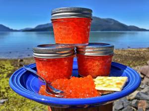 Final product: Jarred dog salmon eggs (Vivian Faith Prescott | Capital City Weekly)